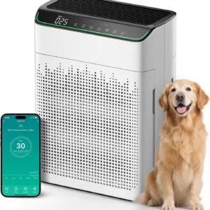 Operan / Morento Luftrenser